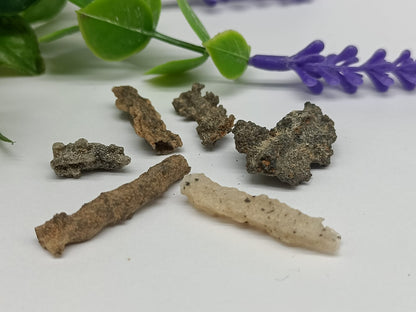 Fulgurite Crystal Wellness