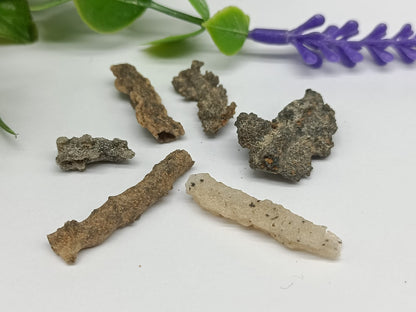 Fulgurite Crystal Wellness