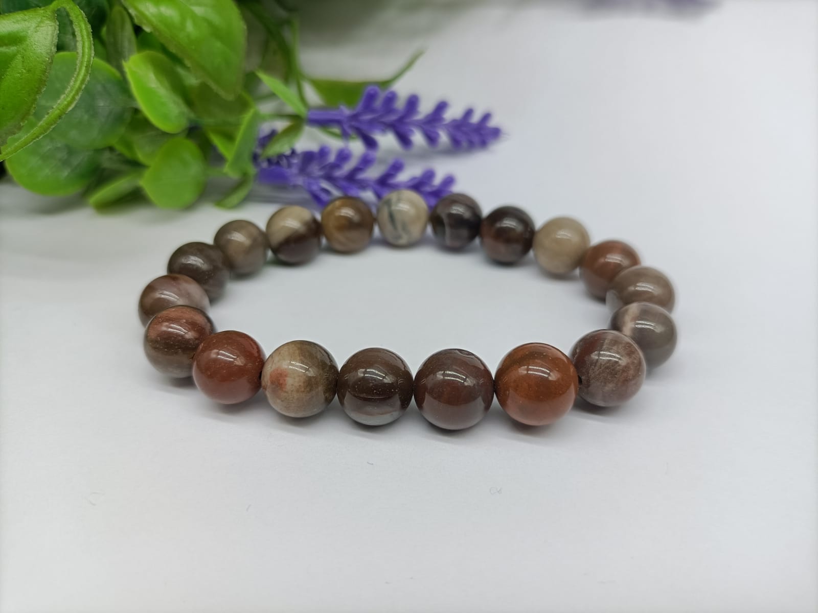 Petrified Wood Bracelet Crystal Wellness