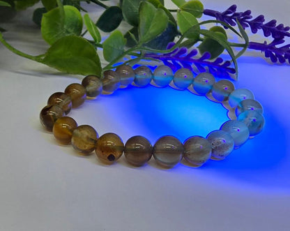 Genuine Sumatra Blue Amber 10mm Beads Bracelet RARE Crystal Wellness