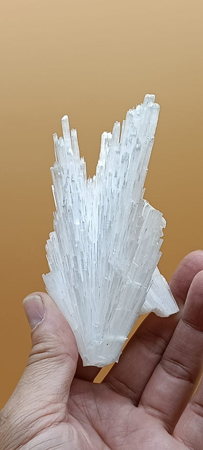 Scolecite 157g 135mm x 60mm