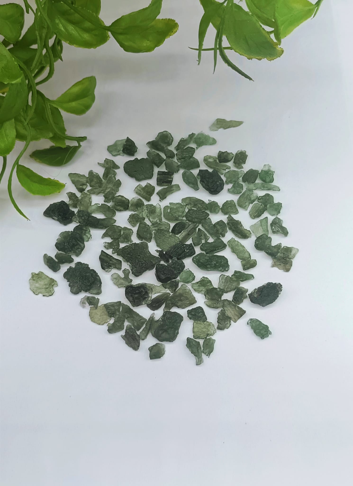 Authentic Raw Moldavite Small Sizes Crystal Wellness