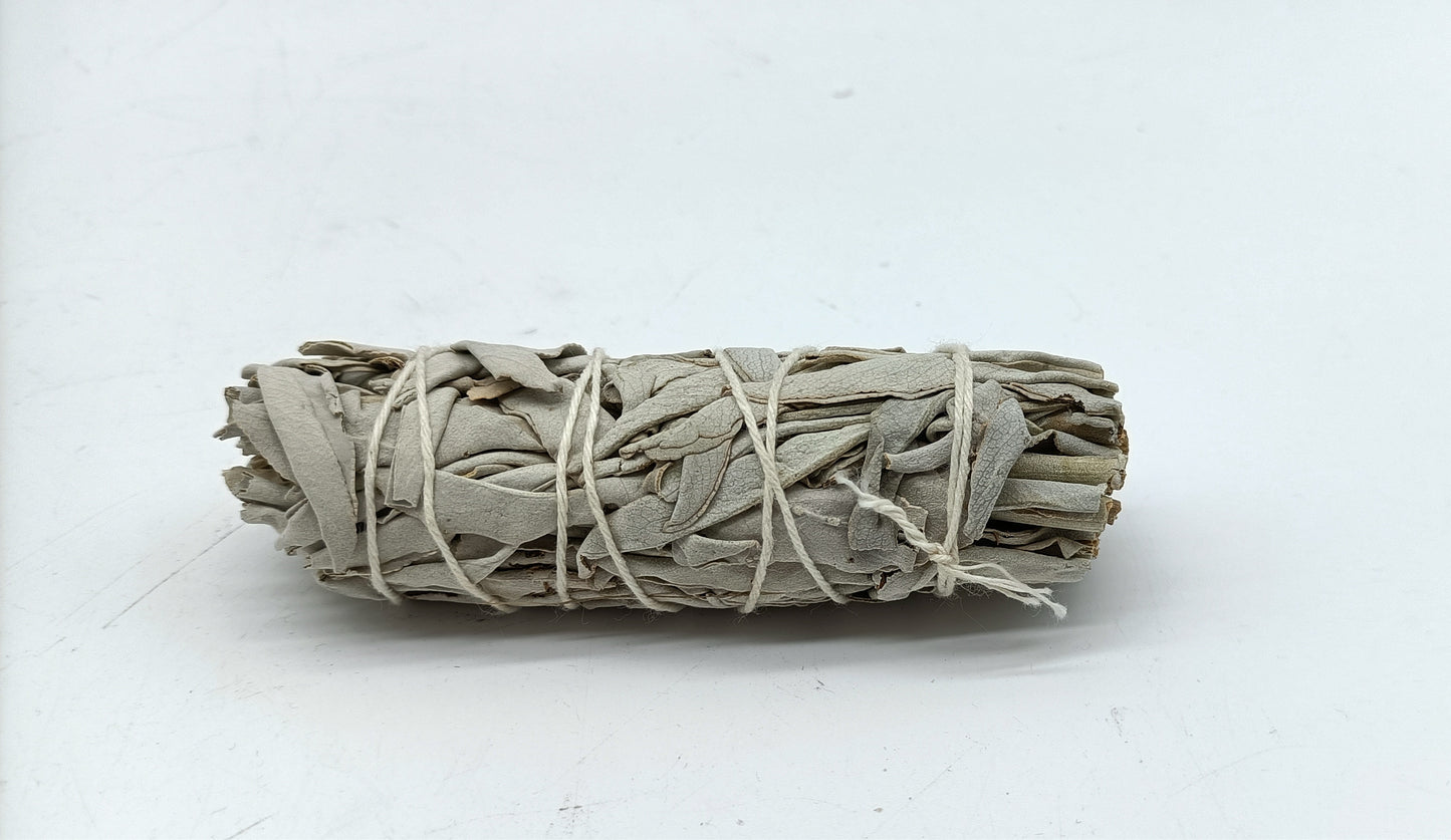 Californian White Sage for Clear Energy and Restore Balance