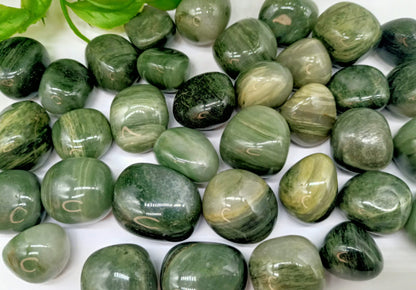 Actinolite Tumbled Stone Crystal Wellness