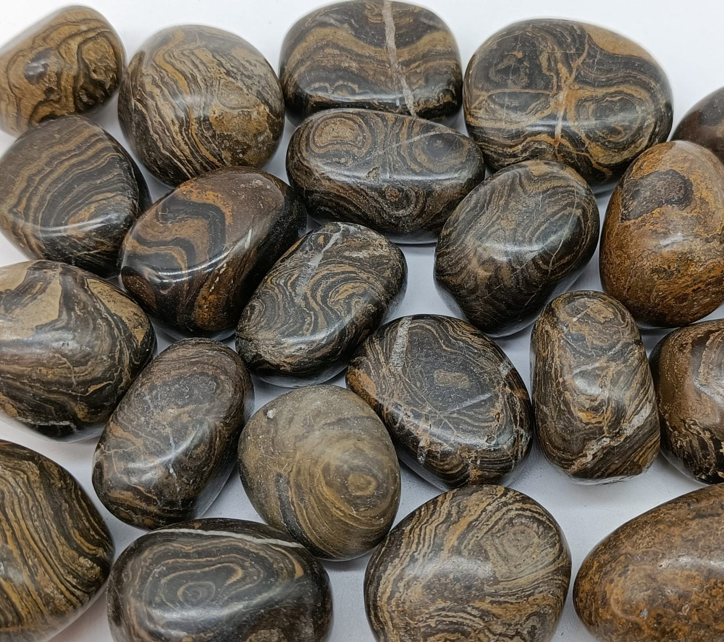 Stromatolite Tumbled Stone