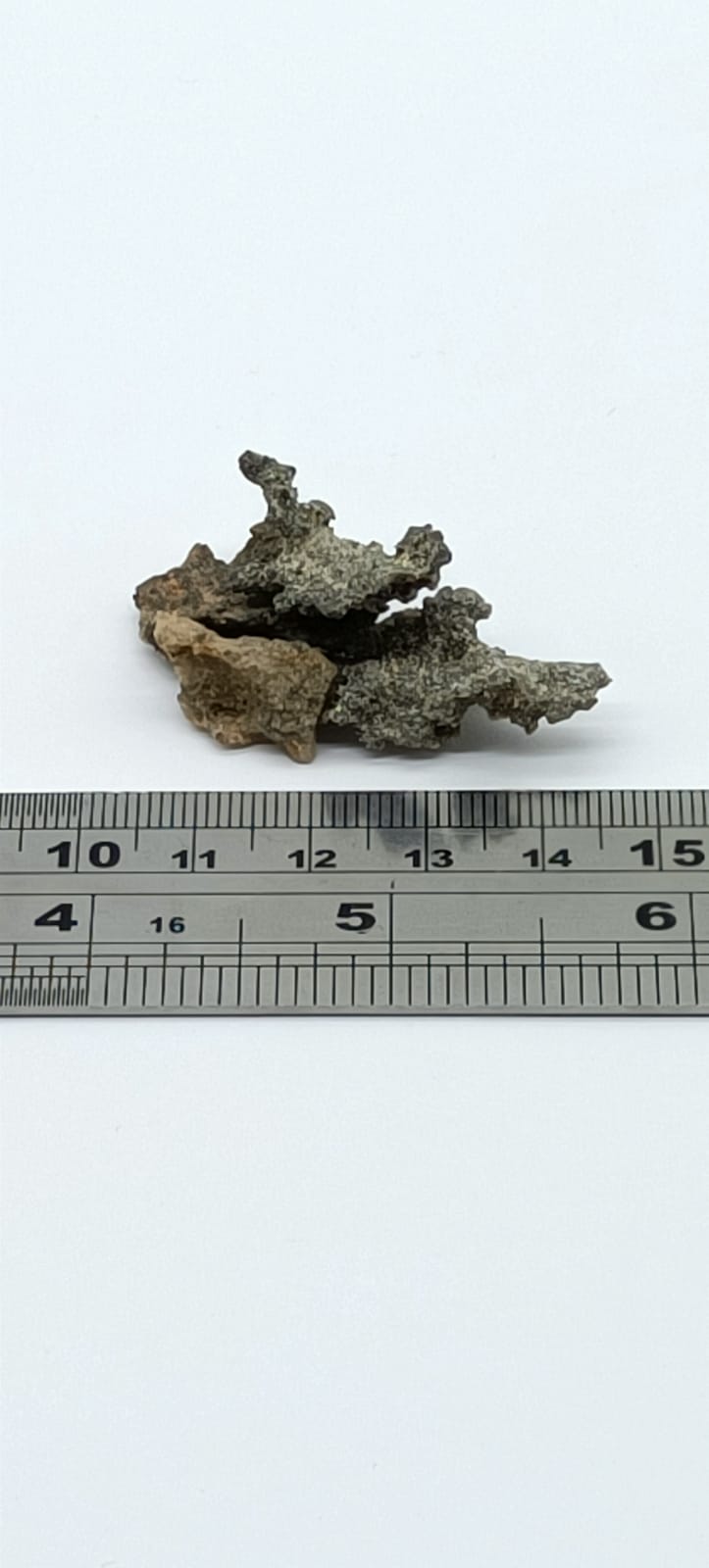 Fulgurite