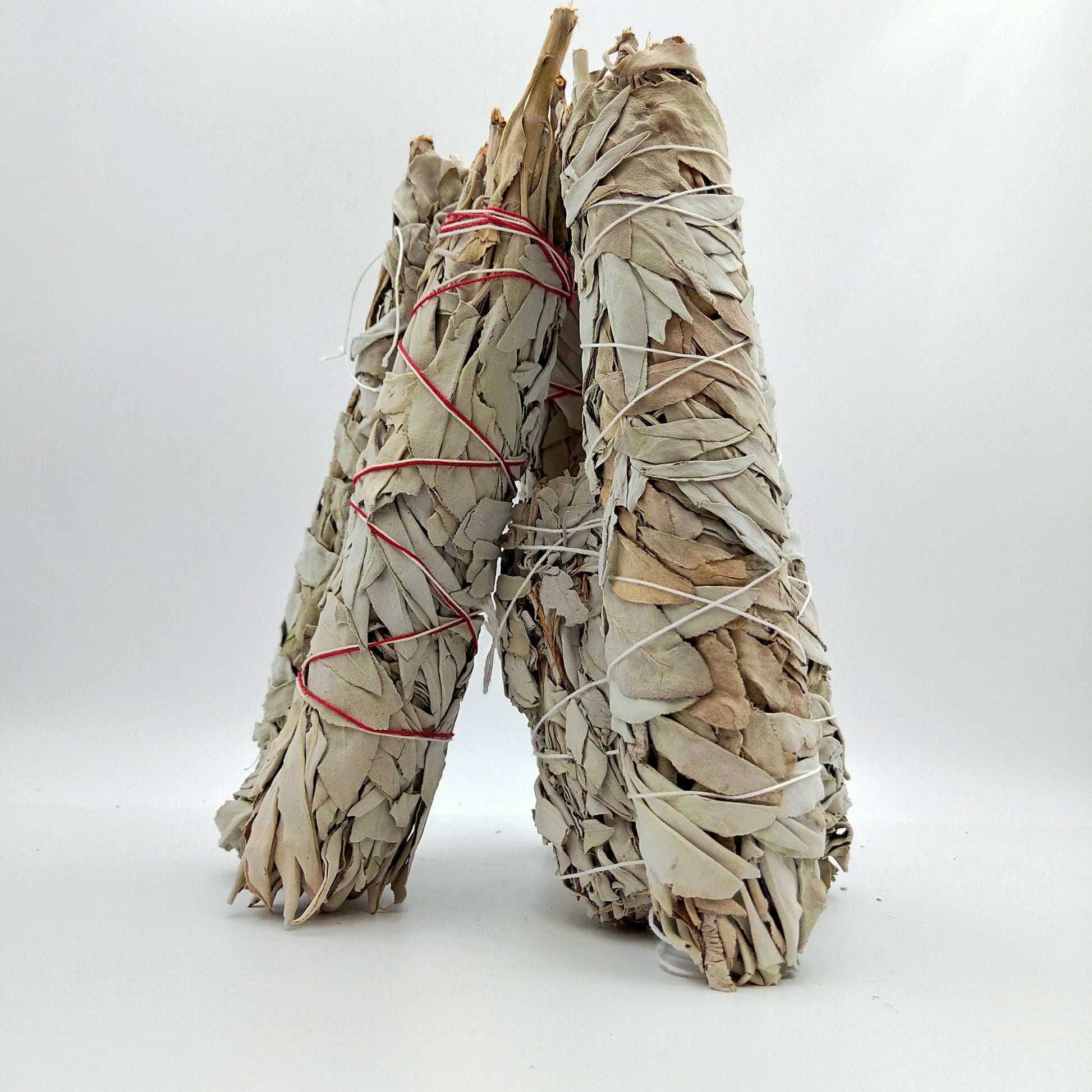 Californian White Sage for Clear Energy and Restore Balance