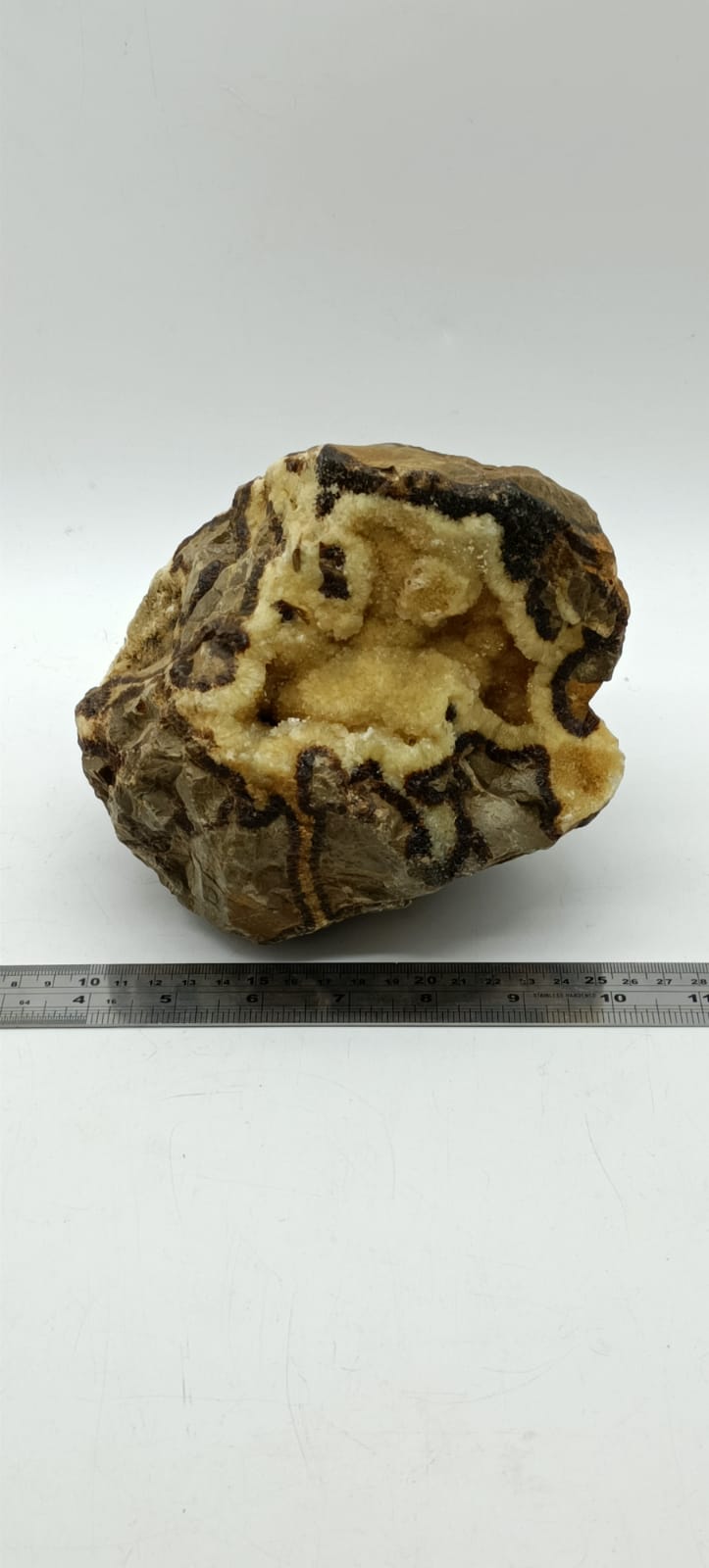 Septarian Raw