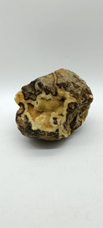 Septarian Raw